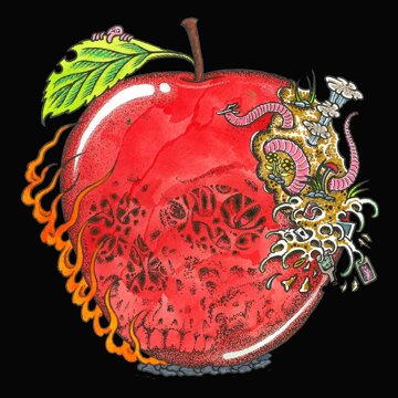 Obálka uvítací melodie Bad Apple