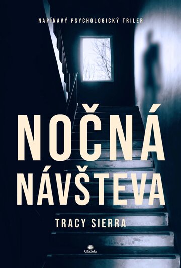 Obálka knihy Nočná návšteva