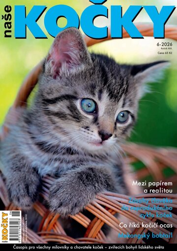 Obálka e-magazínu Naše kočky 6/2026