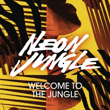 Obálka uvítací melodie Welcome to the Jungle