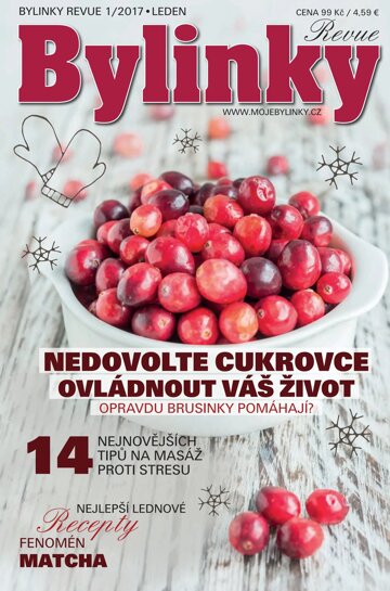 Obálka e-magazínu Bylinky 1/2017