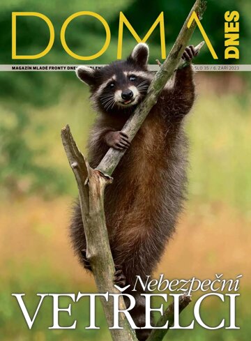 Obálka e-magazínu Doma DNES 6.9.2023