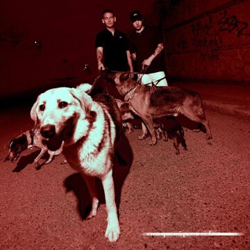Obálka uvítací melodie creo que mi perro ve fantasmas