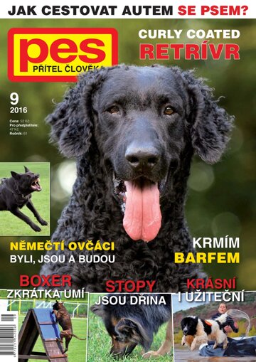 Obálka e-magazínu Pes přítel člověka 9/2016