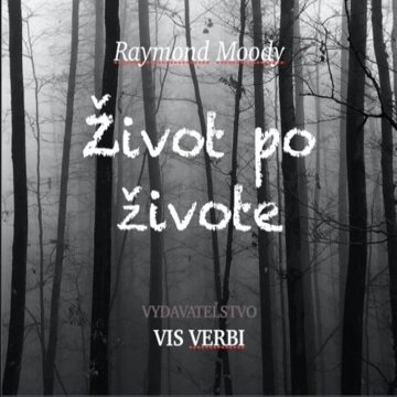 Obálka audioknihy Život po živote
