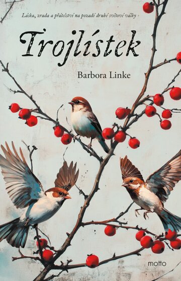 Obálka knihy Trojlístek
