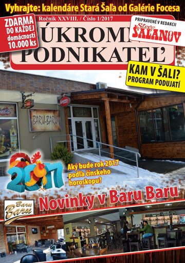 Obálka e-magazínu Súkromný podnikateľ 1/2017