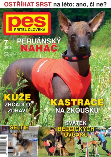 Obálka e-magazínu Pes přítel člověka 7/2016