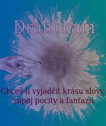 Obálka knihy Drahokam