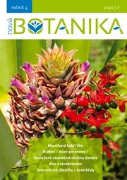 Nová Botanika
