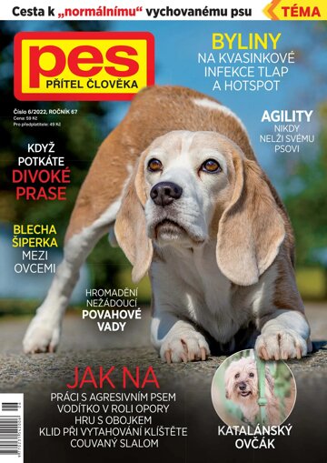 Obálka e-magazínu Pes přítel člověka 6/2022