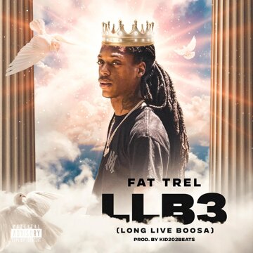 Obálka uvítací melodie LLB3 (Long Live Boosa)