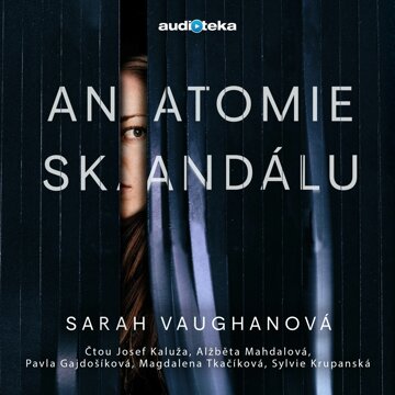Obálka audioknihy Anatomie skandálu