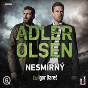 Nesmírný
