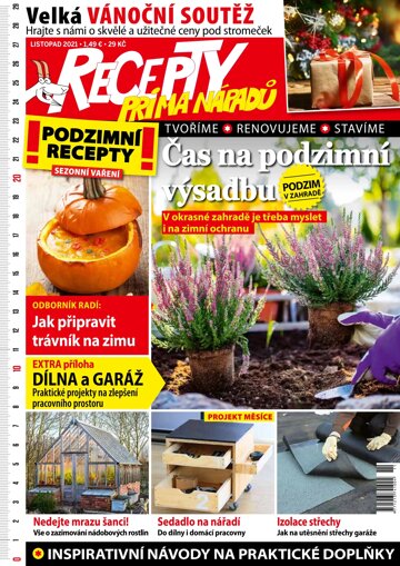 Obálka e-magazínu Recepty prima nápadů 11/2021