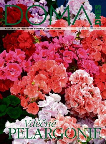Obálka e-magazínu Doma DNES 29.4.2020