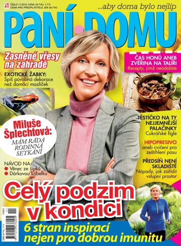 Obálka e-magazínu Paní domu 11/15