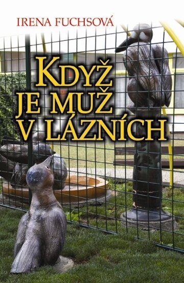 Obálka knihy Když je muž v lázních