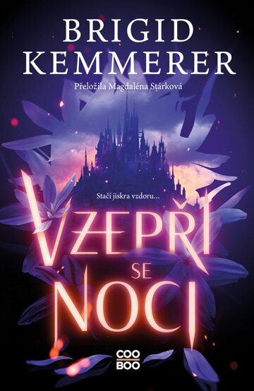 Obálka knihy Vzepři se noci