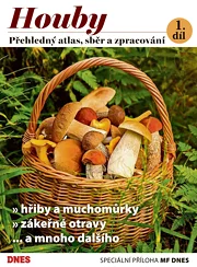 Magazín DNES SPECIÁL Jižní Čechy - 5.9.2023