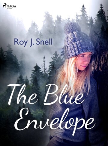 Obálka knihy The Blue Envelope