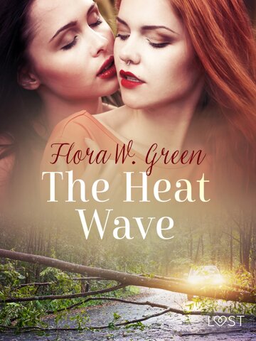 Obálka knihy The Heat Wave - Erotic Short Story