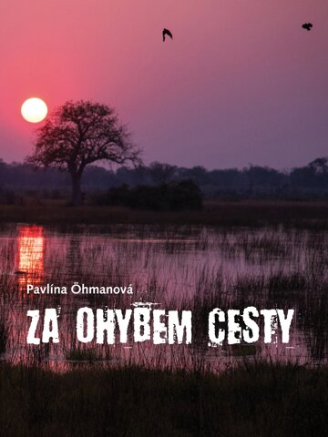 Obálka knihy Za ohybem cesty