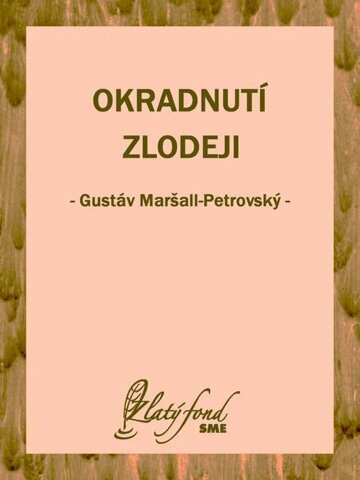 Obálka knihy Okradnutí zlodeji