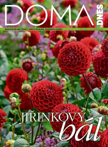 Obálka e-magazínu Doma DNES 15.8.2018