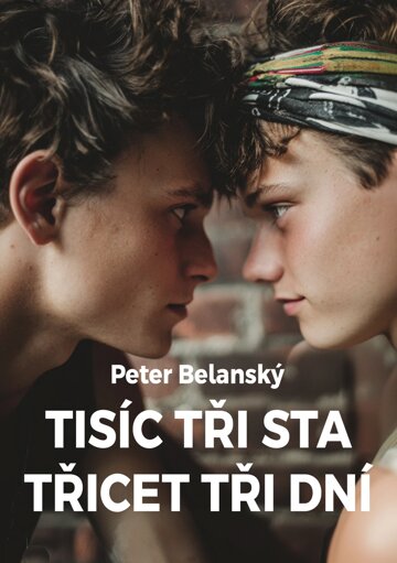 Obálka knihy Tisíc tři sta třicet tři dní