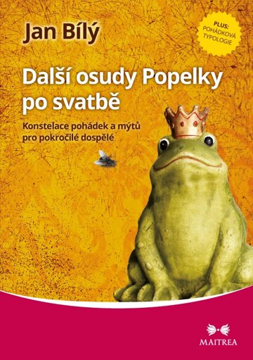 Obálka knihy Další osudy Popelky po svatbě