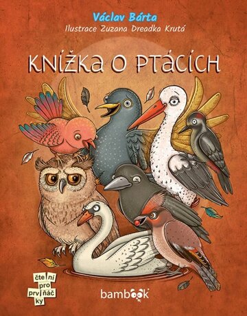 Obálka knihy Knížka o ptácích