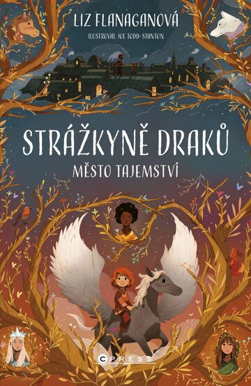 Obálka knihy Strážkyně draků: Město tajemství