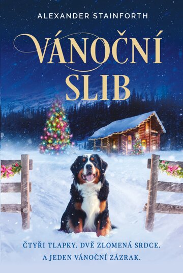 Obálka knihy Vánoční slib