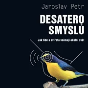 Desatero smyslů