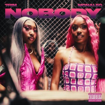 Obálka uvítací melodie Nobody (feat. Monaleo) [Remix] (Explicit)