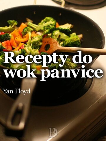 Obálka knihy Recepty do wok panvice