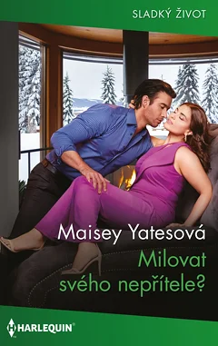 Obálka knihy Milovat svého nepřítele?