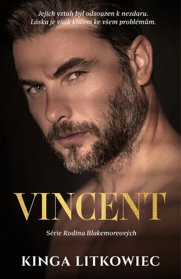 Obálka knihy Vincent