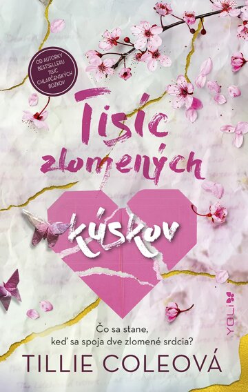 Obálka knihy Tisíc zlomených kúskov