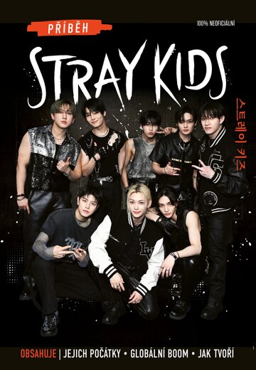 Obálka knihy Příběh Stray Kids