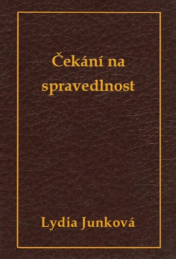 Obálka knihy Čekání na spravedlnost