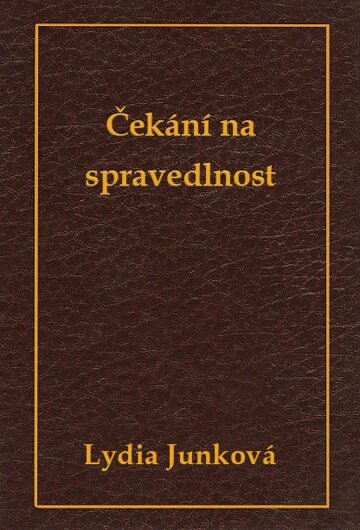 Obálka knihy Čekání na spravedlnost