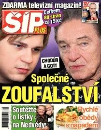 Obálka e-magazínu Magazín Šíp 8/2013