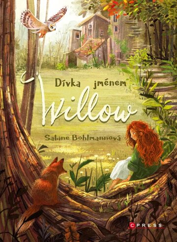 Obálka knihy Dívka jménem Willow