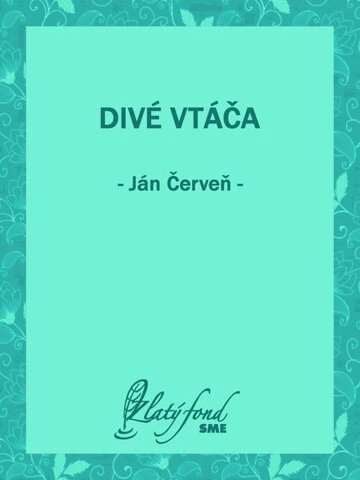 Obálka knihy Divé vtáča