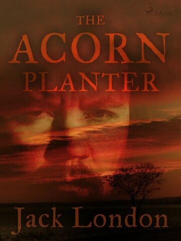 Obálka knihy The Acorn Planter