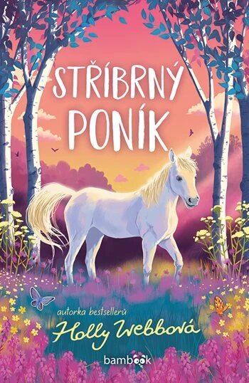 Obálka knihy Stříbrný poník