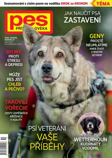 Obálka e-magazínu Pes přítel člověka 10/2022