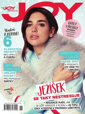 Obálka e-magazínu JOY 12/2019